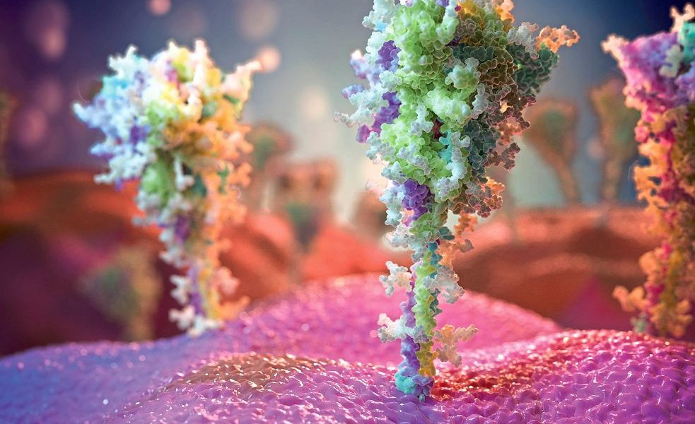 Coronaforschung zeigt, wie komplexe Modelle für Durchblick sorgen