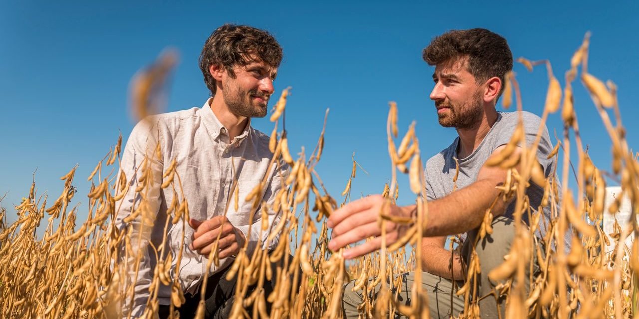 Taifun-Tofu, Steico, Energiekontor AG: Nachhaltige Geschäftsmodelle bieten dem Mittelstand neue Chancen