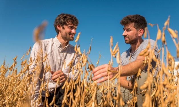 Taifun-Tofu, Steico, Energiekontor AG: Nachhaltige Geschäftsmodelle bieten dem Mittelstand neue Chancen