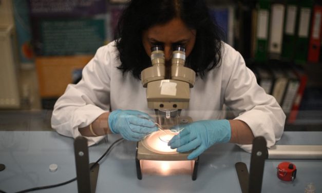 Österreichs fatale Wissenschaftsskepsis