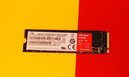 WD Red SN700 im Test: Schnelle M.2-NVMe für NAS-Speicher