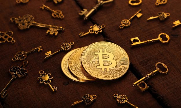 Kryptoverwahrlizenzen in Deutschland – wo bleiben die Banken?