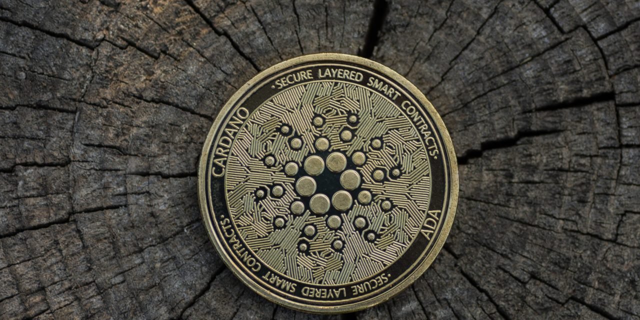 Cardano: Mehr als 120.000 neue Staking Wallets in zwei Monaten