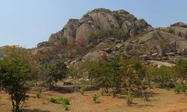 Was die ersten Strände der Erde über die Geburt der Kontinente verraten