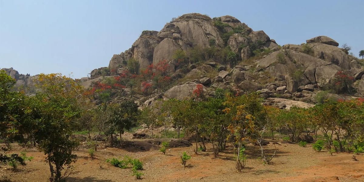 Was die ersten Strände der Erde über die Geburt der Kontinente verraten