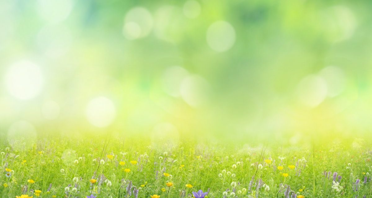Java-Ökosystem: Spring Data 2021.1 setzt auf Querydsl 5.0