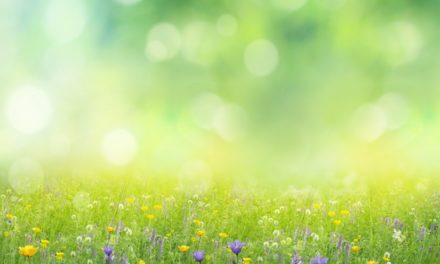 Java-Ökosystem: Spring Data 2021.1 setzt auf Querydsl 5.0