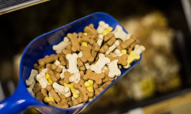 Zooplus schreibt wegen Übernahme durch EQT und Hellman & Friedman rote Zahlen