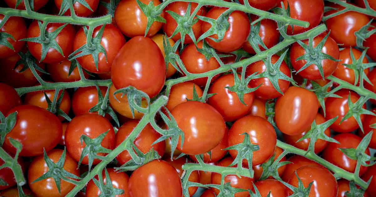 Ketchup-Macher Spak stöhnt über hohe Tomaten-Preise
