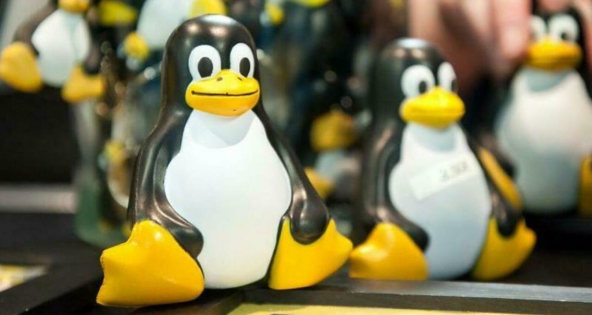 Linux-Anwendungen aus der Cloud mit Amazon AWS streamen