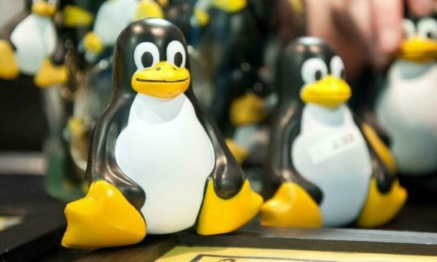 Linux-Anwendungen aus der Cloud mit Amazon AWS streamen