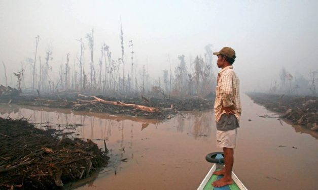 Steigender Ressourcenverbrauch, weniger soziale Gerechtigkeit