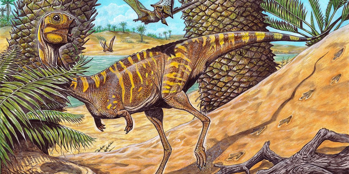 Ungewöhnlicher Mini-Dinosaurier mit Schnabel entdeckt