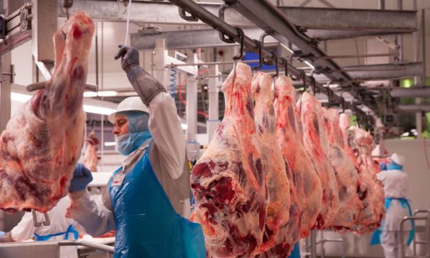 Fleischwerke Marcher: „Rekordpreise sind ein globales Phänomen“