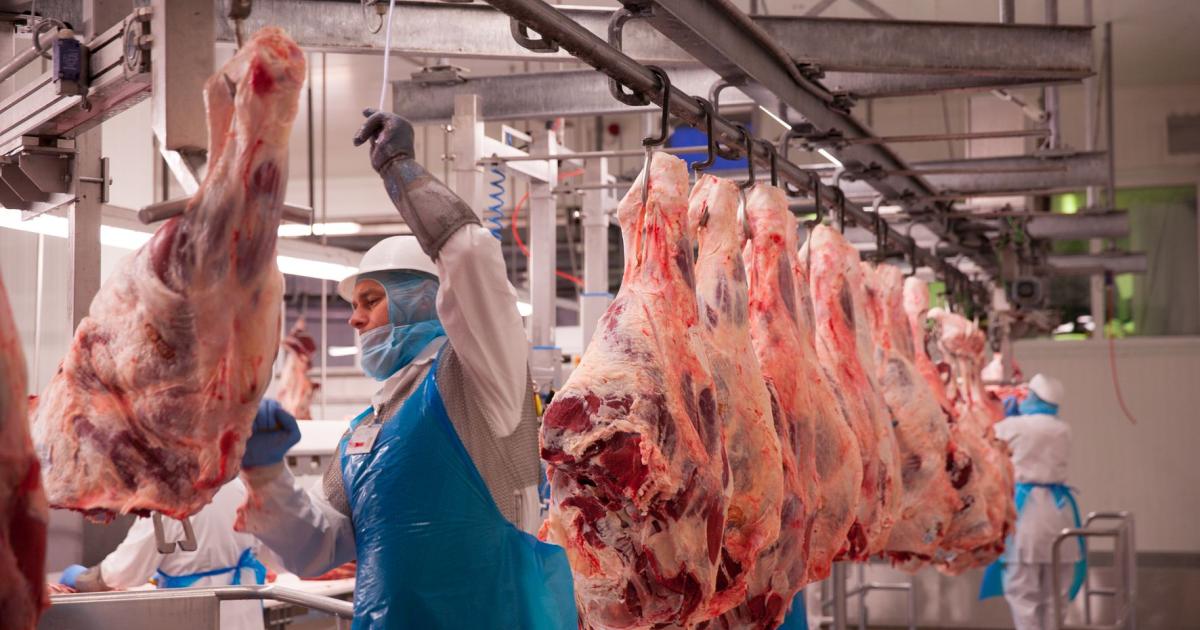 Fleischwerke Marcher: „Rekordpreise sind ein globales Phänomen“