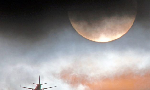 Wenn Wissenschafter zur Weltrettung ausrücken