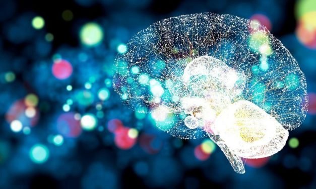 Informatikerin Seidl: „Es geht mir darum, logische Rätsel zu lösen“