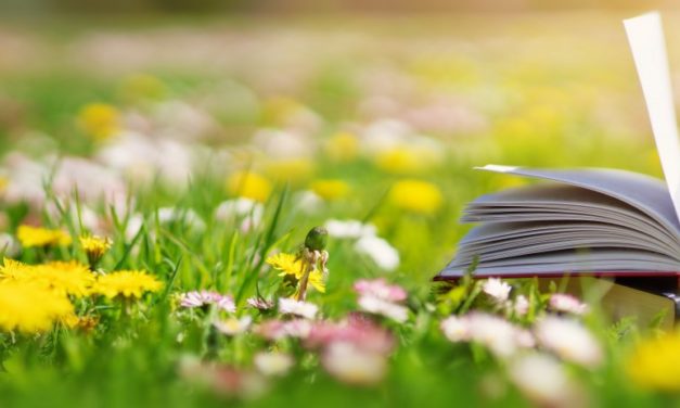 Java-Framework: Spring Boot 2.6 führt Health-Funktionen auf neue Pfade