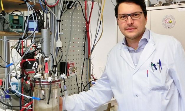 Genveränderte Essigsäure-Bakterien liefern Grundstoffe für Treibstoff und Plastik