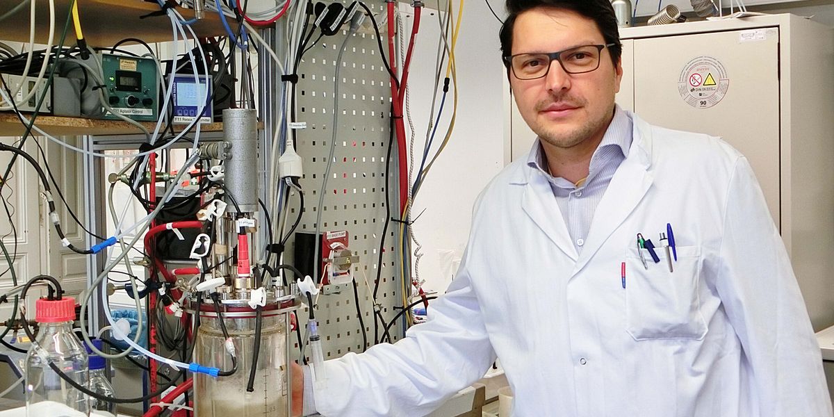 Genveränderte Essigsäure-Bakterien liefern Grundstoffe für Treibstoff und Plastik