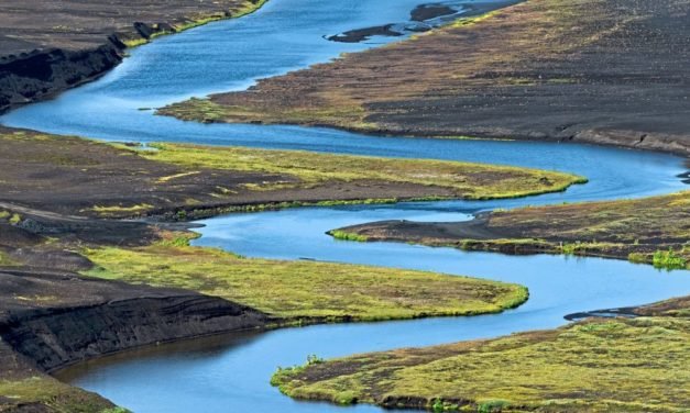 Der PCR-Test für den Fluss zum Nachweis von Artenvielfalt