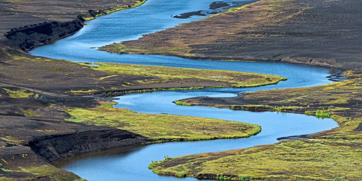 Der PCR-Test für den Fluss zum Nachweis von Artenvielfalt