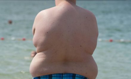 Hormonähnliche Substanzen bremsen Adipositas