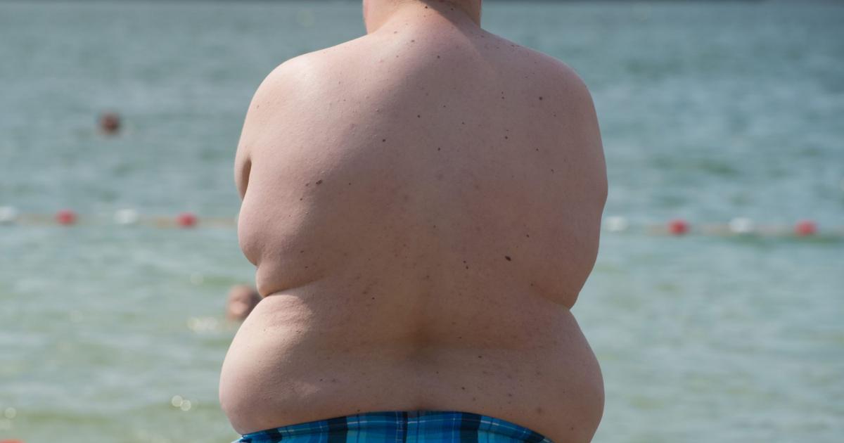 Hormonähnliche Substanzen bremsen Adipositas