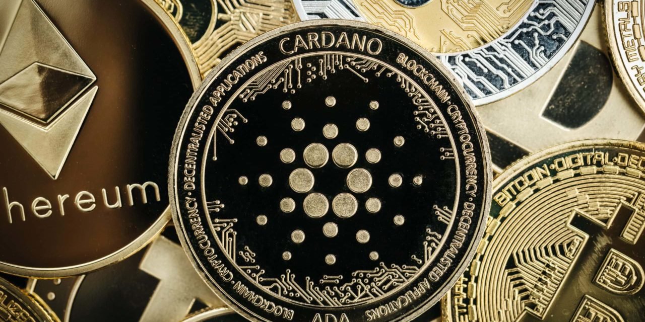 Privatsphäre: Wie es Hoskinson mit Cardano besser machen möchte