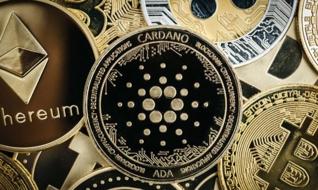 Privatsphäre: Wie es Hoskinson mit Cardano besser machen möchte