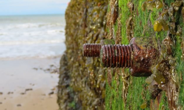 Rust: Moderatoren der Programmiersprache treten zurück
