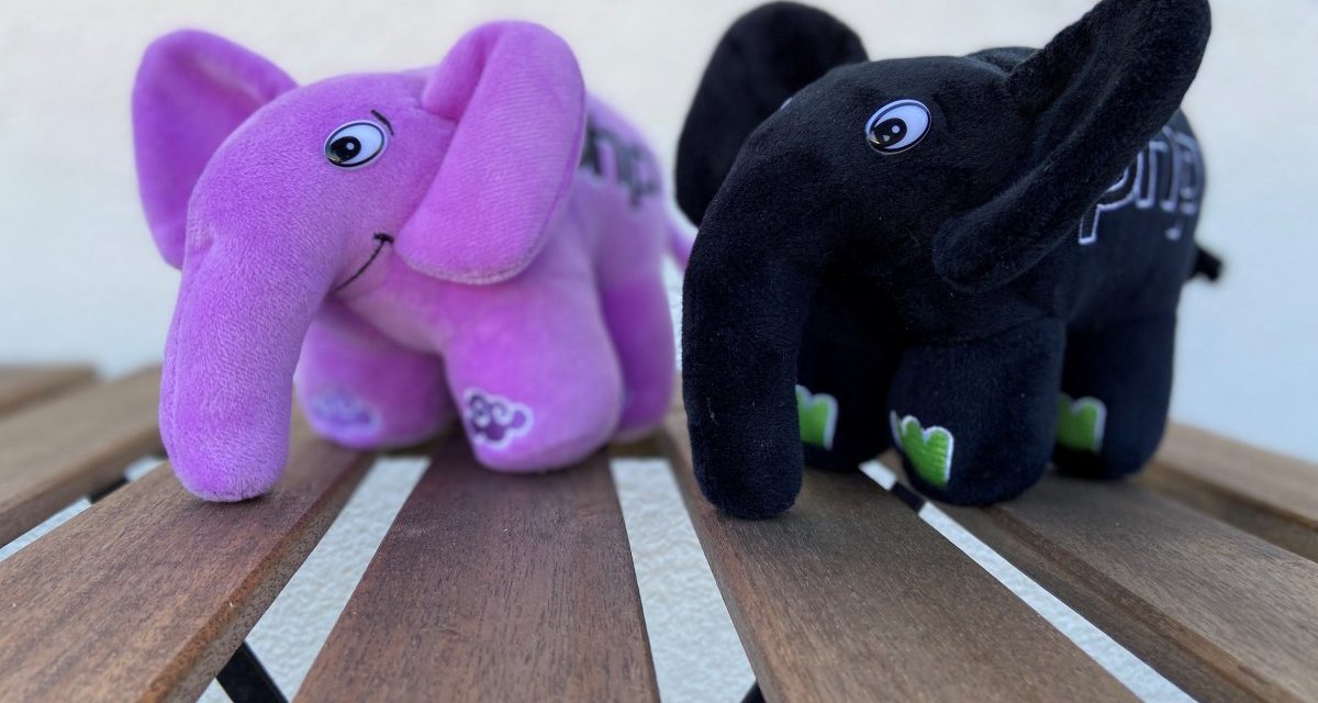 Programmiersprache: Eine Stiftung soll die weitere Zukunft von PHP sichern