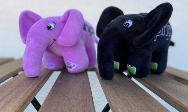 Programmiersprache: Eine Stiftung soll die weitere Zukunft von PHP sichern