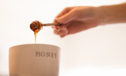 Praxisversuch: Systeme mit verwundbarer Software schon nach Stunden gehackt