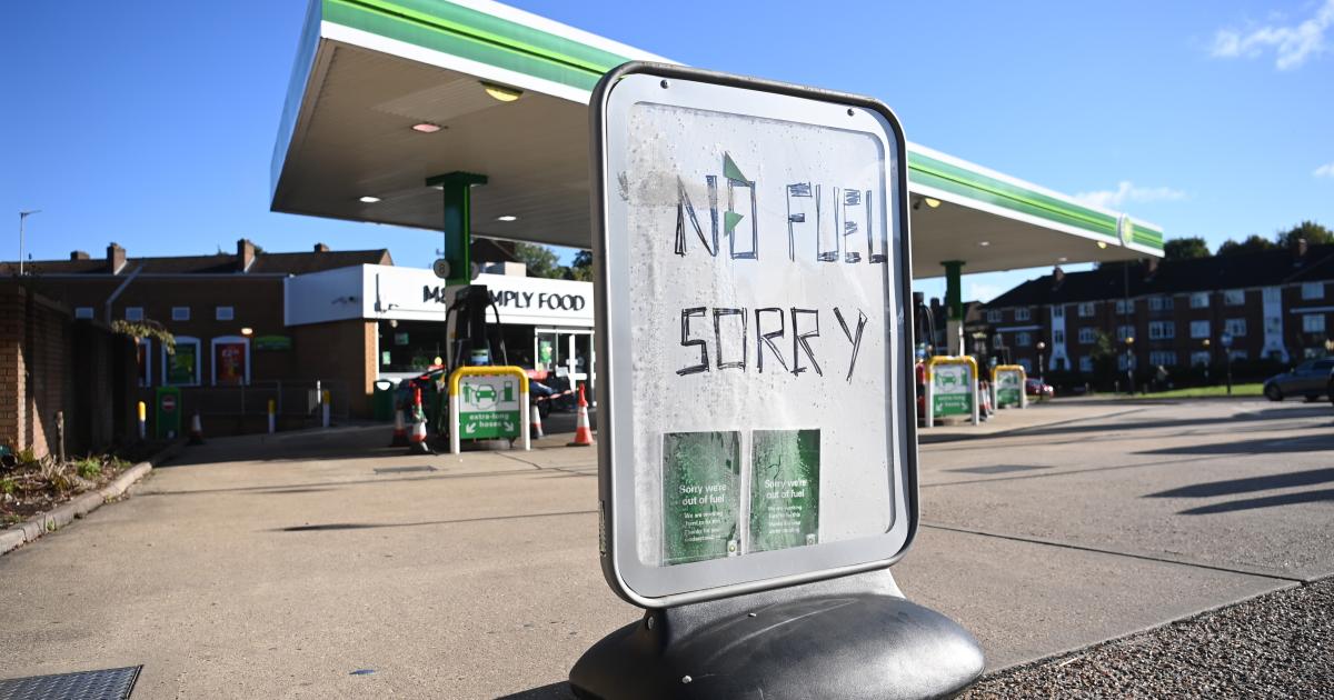 Lkw-Krise: Britische Alkoholindustrie warnt vor leeren Gläsern zu Weihnachten