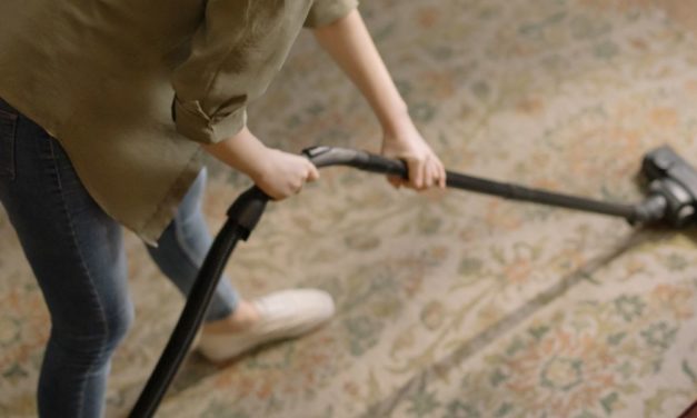 Das bisschen Haushalt macht sich doch von selbst