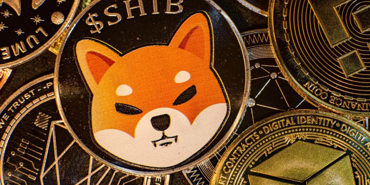 Shiba Inu knackt eine Million Nutzer – trotz roten Zahlen