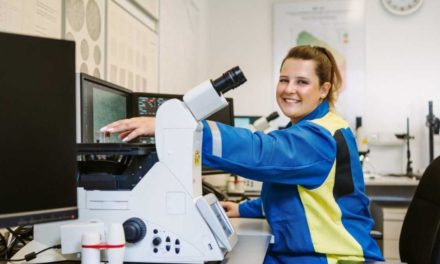 Eltern, Freunde, Schule: Wer unsere Berufswahl wirklich prägt