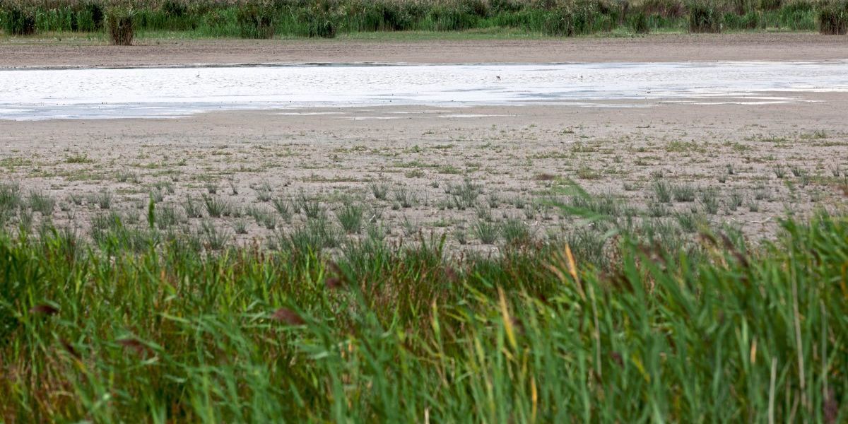 Die Ampel für Artenvielfalt in Österreich steht auf Rot