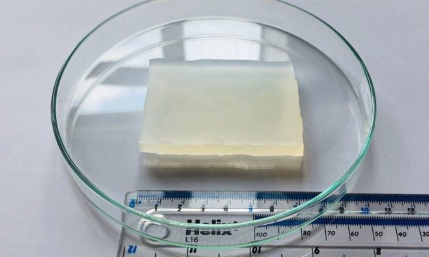 Supergelee wird unter elefantenschwerem Druck hart wie Glas