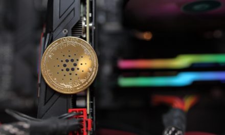Trotz Kursrückgang: Zahl der Cardano-Wallets steigt um 200 Prozent