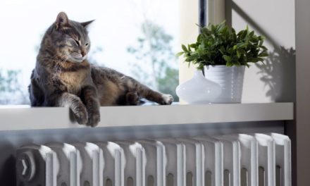 Richtig heizen: Vier Tipps vom Experten um Heizkosten zu sparen