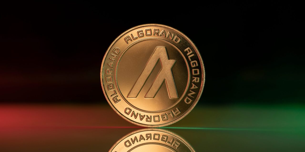 Borderless Capital: 500 Millionen US-Dollar für ALGO-Projekte