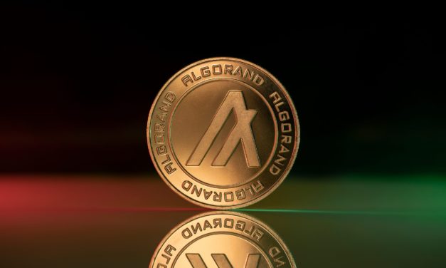Borderless Capital: 500 Millionen US-Dollar für ALGO-Projekte