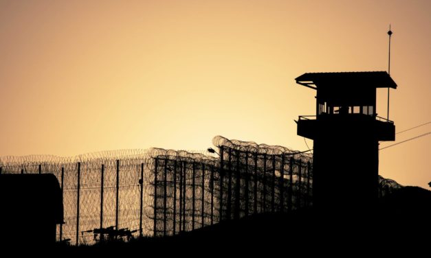 Silk-Road-Gründer Ross Ulbricht launcht NFT-Kollektion