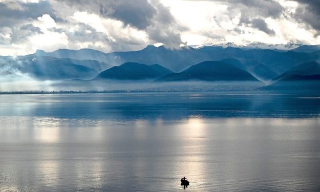 Der Artenschwund im Süßwasser ist stärker als an Land und im Meer