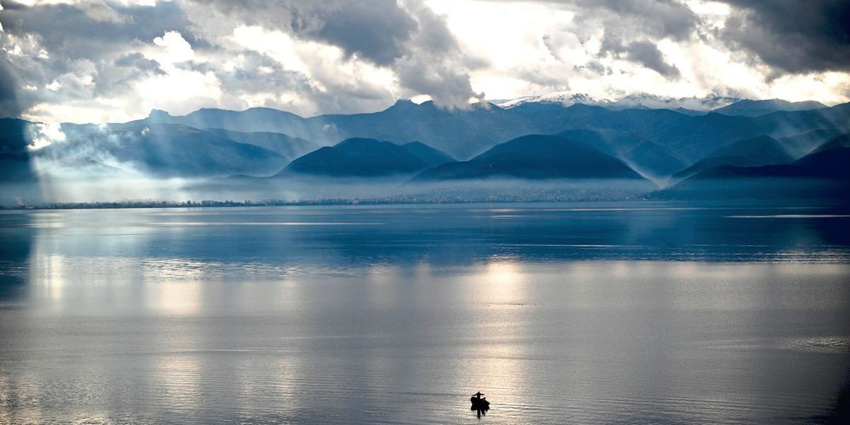 Der Artenschwund im Süßwasser ist stärker als an Land und im Meer