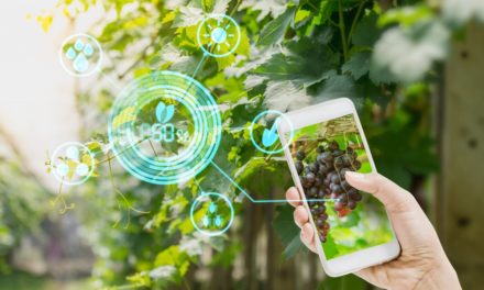 Machine Learning: PyTorch Live als Beta gestartet