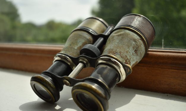 Land in Sicht: Lokaler Bitcoin-Boden bald erreicht?
