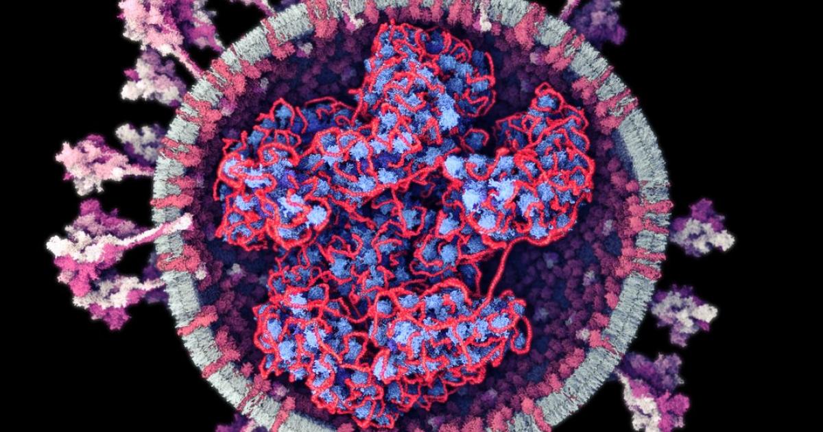 Genesene sind offenbar weniger gut vor Omikron geschützt